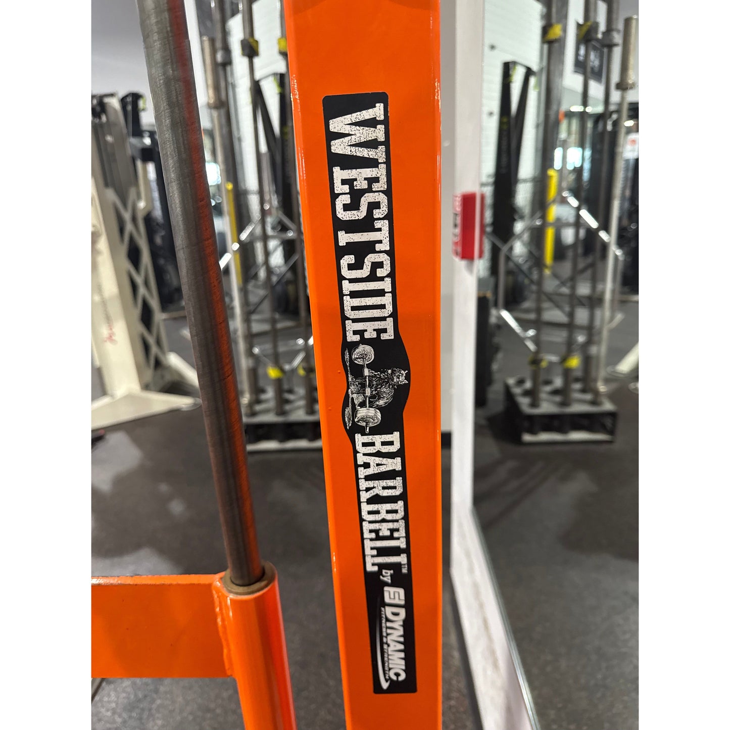 West Side Belt Squat