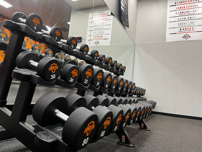 Urethane Dumbells