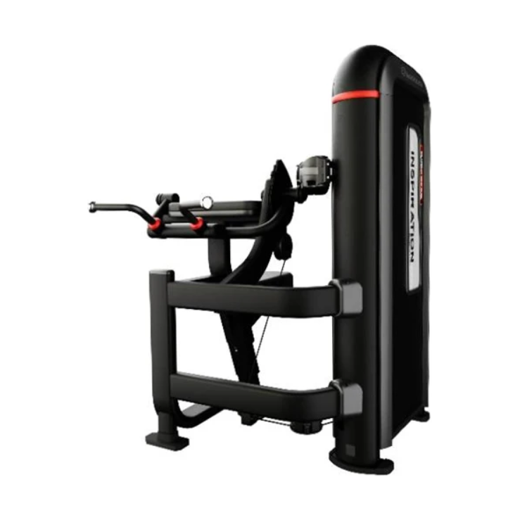 Nautilus Inspiration Bilateral Arm Curl