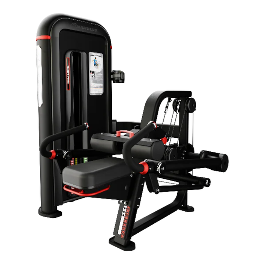 Inspiration Tricep Dip