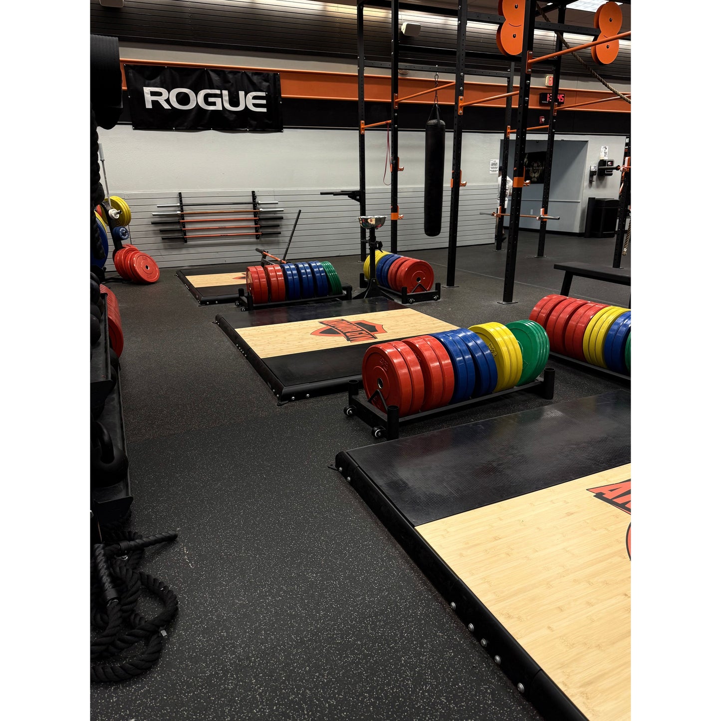 Nautilus Olympic Lift Platform